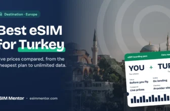 Best eSIM for Turkey: Istanbul's historic mosques on the waterfront at sunset, with an eSIM boarding pass to TUR