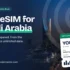 Best eSIM for Morocco